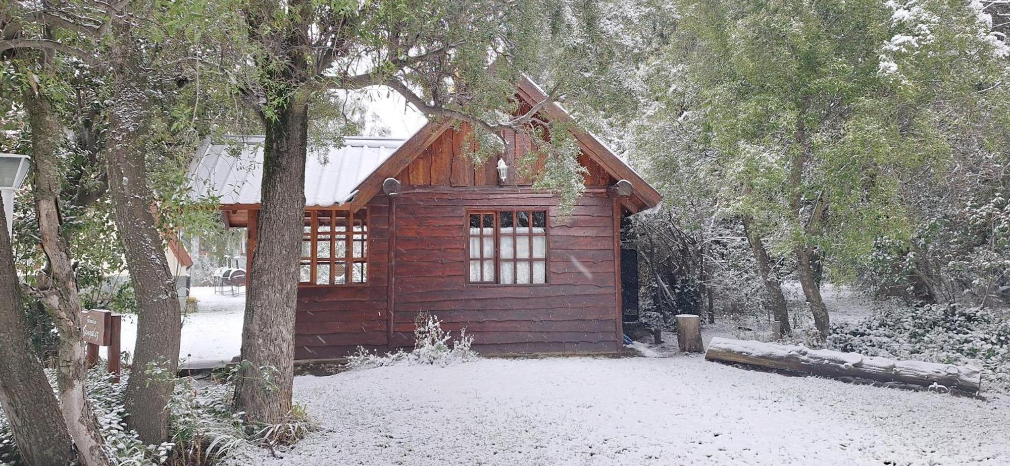 De Las Rosas Bariloche Eksteriør billede