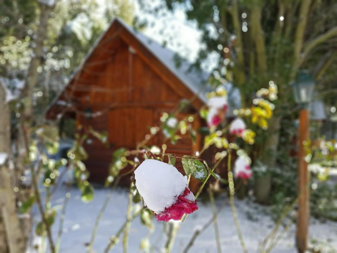 De Las Rosas Bariloche Eksteriør billede